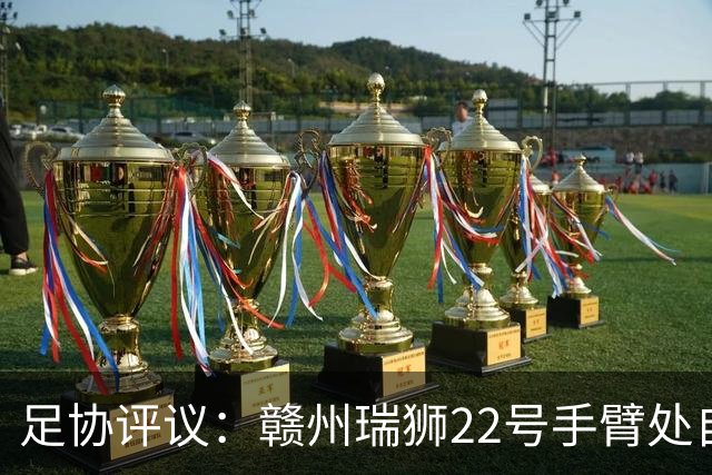 足协评议：赣州瑞狮22号手臂处自然位置不犯规；漏判泰安天贶点球